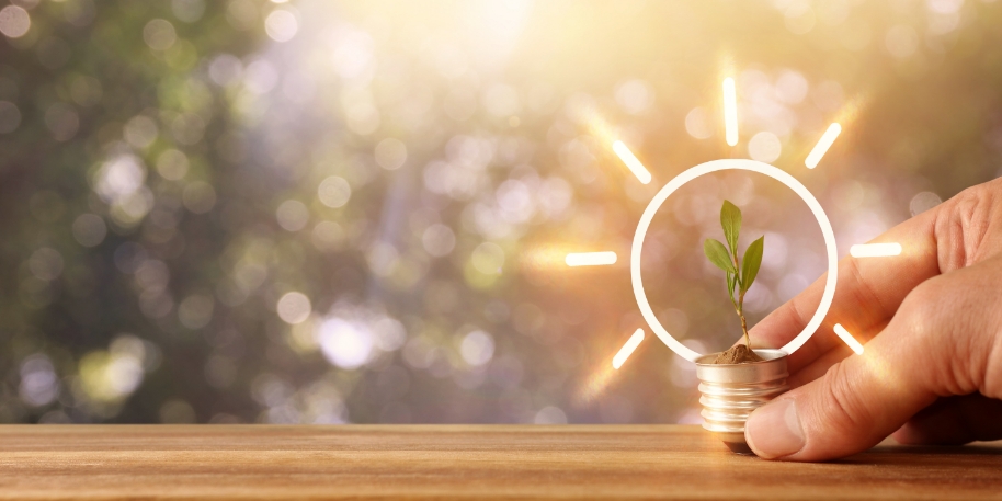 a plant sprouts from the base of a lightbulb, illumination graphics surround the sprout