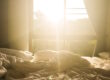 sun shining through window